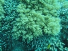 dsc02770