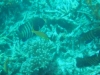 dsc02817