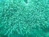 dsc02840