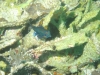 dsc02903